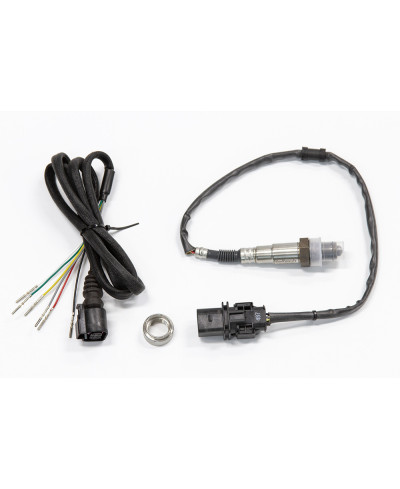 PLUG-IN ECU ELITE PRO & KIT CAPTEURS LARGE BANDE FORD FALCON I6 "BARRA" HALTECH