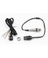 PLUG-IN ECU ELITE PRO & KIT CAPTEURS LARGE BANDE FORD FALCON I6 "BARRA" HALTECH