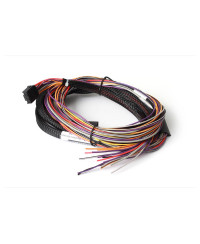 FAISCEAU AUXILIAIRE I/O PLUG-IN ECU GM PLATINUM SPORT / PRO HALTECH