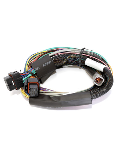 ECU ELITE 2500 & KIT FAISCEAUX UNIVERSEL PREMIUM HALTECH