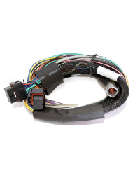 ECU ELITE 2500 & KIT FAISCEAUX UNIVERSEL PREMIUM HALTECH