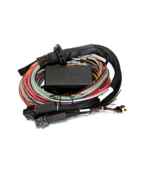 ECU ELITE 2500 & KIT FAISCEAUX UNIVERSEL PREMIUM HALTECH