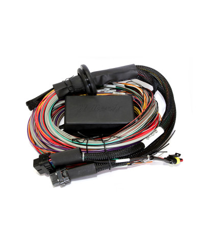 ECU ELITE 2500 & KIT FAISCEAUX UNIVERSEL PREMIUM LONG (5M) HALTECH