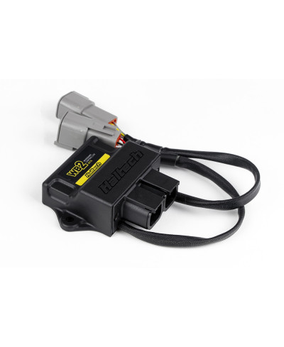 KIT CONTROLEUR LARGE BANDE CAN & SONDE WB2 NTK DOUBLE CANAL HALTECH