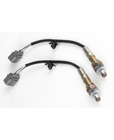 KIT CONTROLEUR LARGE BANDE CAN & SONDE WB2 NTK DOUBLE CANAL HALTECH