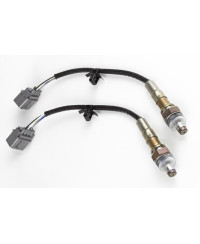 KIT CONTROLEUR LARGE BANDE CAN & SONDE WB2 NTK DOUBLE CANAL HALTECH