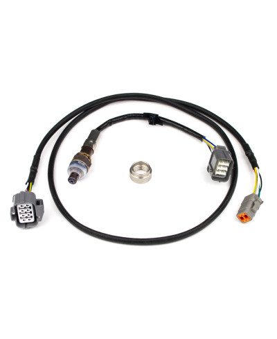 KIT LARGE BANDE & SONDE LAMBDA NTK HALTECH