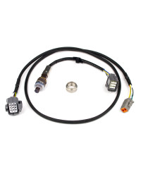 KIT LARGE BANDE & SONDE LAMBDA NTK HALTECH