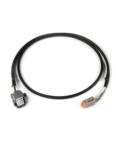 FAISCEAU ADAPTATEUR LARGE BANDE NTK A DTM-6 HALTECH