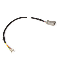 FAISCEAU ADAPTATEUR LARGE BANDE CONNECTEUR DTM-6 HALTECH