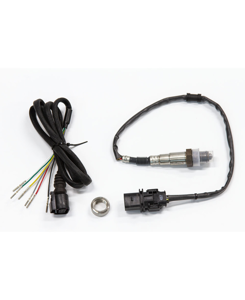 KIT LARGE BANDE & SONDE LAMBDA ECU PLUG-IN ELITE PRO FORD FALCON "BARRA" HALTECH