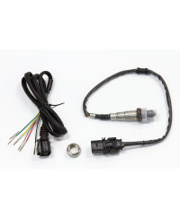 KIT LARGE BANDE & SONDE LAMBDA ECU PLUG-IN ELITE PRO FORD FALCON "BARRA" HALTECH