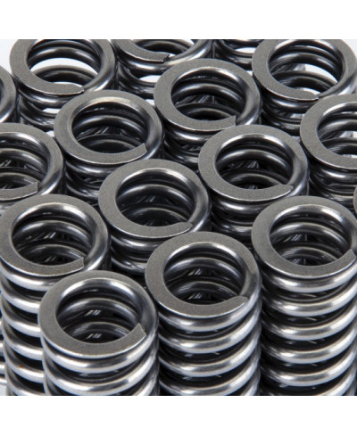 RESSORT SOUPAPES ALPHA TITANE HONDA D16Y8 / D16Z6 VTEC SKUNK