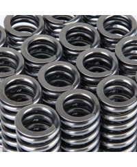 RESSORT SOUPAPES ALPHA TITANE HONDA D16Y8 / D16Z6 VTEC SKUNK