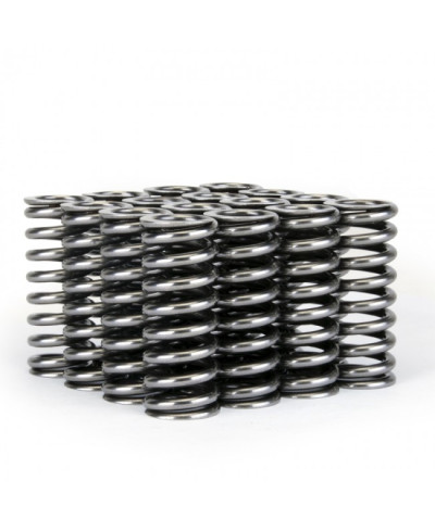 RESSORT SOUPAPES ALPHA TITANE HONDA D16Y8 / D16Z6 VTEC SKUNK