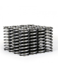 RESSORT SOUPAPES ALPHA TITANE HONDA D16Y8 / D16Z6 VTEC SKUNK