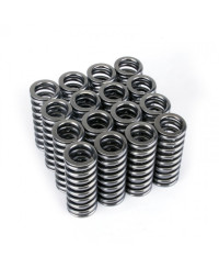 RESSORT SOUPAPES ALPHA TITANE HONDA D16Y8 / D16Z6 VTEC SKUNK