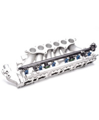 RAMPE INJECTION ESSENCE PERFORMANCE NISSAN RB25DET NEO RADIUM