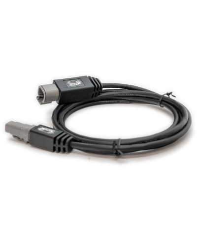 CÂBLE EXTENSION CAN 2M LINK