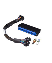 ECU ELITE 2500+ & KIT FAISCEAUX NISSAN R32 / R33 / R34 HALTECH