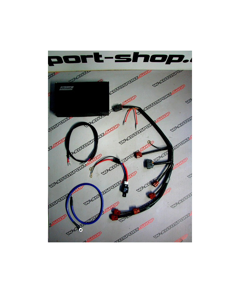 FAISCEAU ALLUMAGE R32 R33 GTR DOLUCK