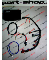 FAISCEAU ALLUMAGE R32 R33 GTR DOLUCK