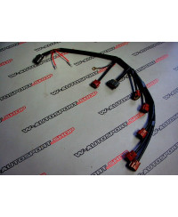 FAISCEAU ALLUMAGE R32 R33 GTR DOLUCK