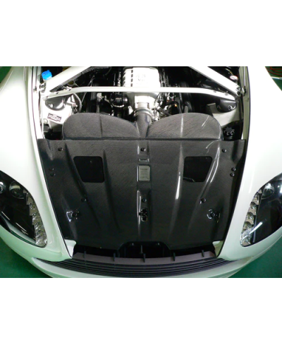 KIT ADMISSION RAM AIR SYSTEM ASTON MARTIN VANTAGE V8 4.3L  (06-08) GRUPPEM