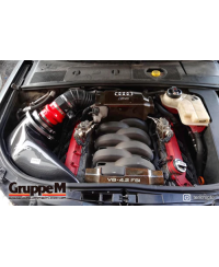 KIT ADMISSION RAM AIR SYSTEM AUDI RS4 8E (B7) V8 4.2L (06-09) GRUPPEM