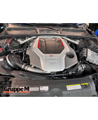 KIT ADMISSION RAM AIR SYSTEM AUDI RS5 F5 (B9) 2.9L TWIN-TURBO (2017+) GRUPPEM