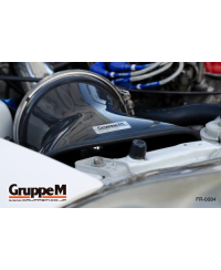 KIT ADMISSION RAM AIR SYSTEM HONDA CIVIC TYPE R EK4 - EK9 1.6L (95-00) GRUPPEM