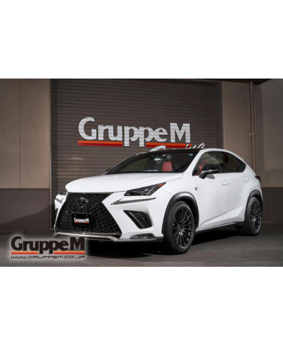 KIT ADMISSION RAM AIR SYSTEM LEXUS NX200T / NX300 2.0L (2014+) GRUPPEM