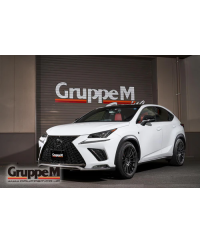 KIT ADMISSION RAM AIR SYSTEM LEXUS NX200T / NX300 2.0L (2014+) GRUPPEM