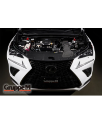 KIT ADMISSION RAM AIR SYSTEM LEXUS NX200T / NX300 2.0L (2014+) GRUPPEM