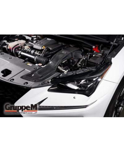 KIT ADMISSION RAM AIR SYSTEM LEXUS NX200T / NX300 2.0L (2014+) GRUPPEM