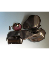 KIT ADMISSION RAM AIR SYSTEM NISSAN SKYLINE GTR R34 BNR34 2.6L (99-01) GRUPPEM