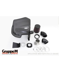 KIT ADMISSION RAM AIR SYSTEM 330i (F30-F31-F34) 2.0L TURBO BMW (2015-2019) GRUPPEM