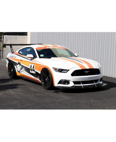 AILERON AJUSTABLE CARBONE GT-250 71" FORD MUSTANG - APR PERFORMANCE 
