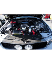 COOLING PLATE RADIATEUR CARBONE FORD MUSTANG GT S197 - APR PERFORMANCE 