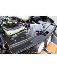 COOLING PLATE RADIATEUR CARBONE FORD MUSTANG GT S197 - APR PERFORMANCE 