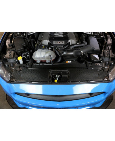COOLING PLATE RADIATEUR CARBONE FORD MUSTANG GT 5.0 - APR PERFORMANCE 