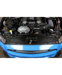 COOLING PLATE RADIATEUR CARBONE FORD MUSTANG GT 5.0 - APR PERFORMANCE 