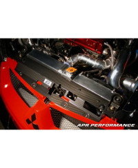 COOLING PLATE CARBONE MITSUBISHI LANCER EVOLUTION 8&9 - APR PERFORMANCE 