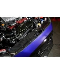 COOLING PLATE CARBONE SUBARU WRX/STI (15-21) - APR PERFORMANCE 