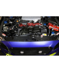 COOLING PLATE CARBONE SUBARU WRX/STI (15-21) - APR PERFORMANCE 