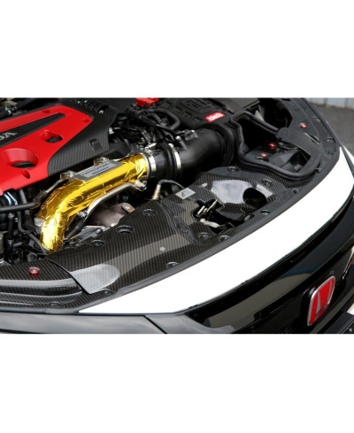 COOLING PLATE CARBONE HONDA CIVIC TYPE R (CENTRE) - APR PERFORMANCE 