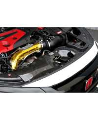 COOLING PLATE CARBONE HONDA CIVIC TYPE R (CENTRE) - APR PERFORMANCE 
