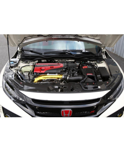 COOLING PLATE CARBONE HONDA CIVIC TYPE R (CENTRE) - APR PERFORMANCE 