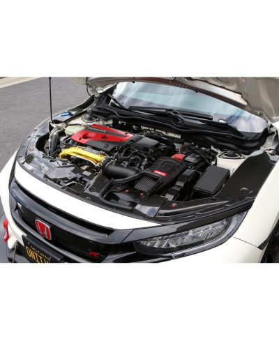 COOLING PLATE CARBONE HONDA CIVC TYPE R (GAUCHE) - APR PERFORMANCE 