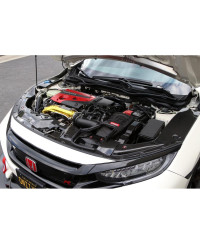 COOLING PLATE CARBONE HONDA CIVC TYPE R (GAUCHE) - APR PERFORMANCE 